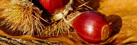 Energie update Geel Zaad levenspad 3 - 15 december 2019: Tips voor extra groeikracht